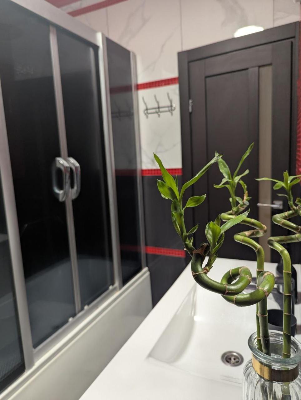 2-Кім Новобудова, Центр, Провулок Лапушкіна , 9 Apartman Khmelʼnytsʼkyy Kültér fotó